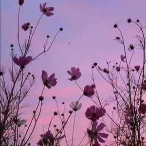 Meet your Posher, Isabel